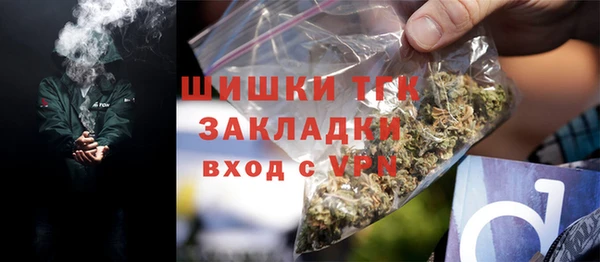 хмурый Магас
