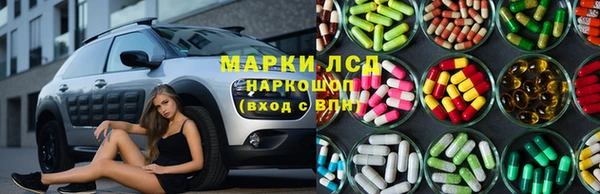 шишки Липки