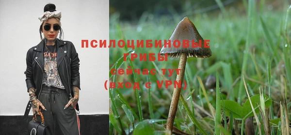 крисы Лихославль