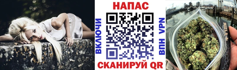Купить где  Кизилюрт  Конопля индика 